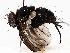  ( - BIOUG72906-A05)  @11 [ ] CreativeCommons - Attribution (2021) CBG Photography Group Centre for Biodiversity Genomics
