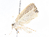  ( - CBG-A06258-H03)  @11 [ ] CreativeCommons - Attribution Share-Alike (2023) CBG Photography Group Centre for Biodiversity Genomics