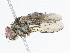  ( - CBG-A06259-C02)  @11 [ ] CreativeCommons - Attribution Share-Alike (2023) CBG Photography Group Centre for Biodiversity Genomics
