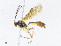  ( - CBG-A06272-F06)  @11 [ ] CreativeCommons - Attribution Share - Alike (2023) CBG Photography Group Centre for Biodiversity Genomics