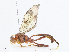  ( - CBG-A08721-C04)  @11 [ ] CreativeCommons - Attribution Share - Alike (2023) CBG Photography Group Centre for Biodiversity Genomics