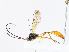  ( - CBG-A08722-A07)  @11 [ ] CreativeCommons - Attribution Share - Alike (2023) CBG Photography Group Centre for Biodiversity Genomics