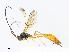  ( - CBG-A08722-B11)  @11 [ ] CreativeCommons - Attribution Share - Alike (2023) CBG Photography Group Centre for Biodiversity Genomics