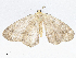  ( - CBG-A08734-G04)  @11 [ ] CreativeCommons - Attribution Share - Alike (2023) CBG Photography Group Centre for Biodiversity Genomics