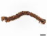  (geoMalaise01 Malaise4195 - CBG-A08734-H11)  @11 [ ] CreativeCommons - Attribution Share - Alike (2023) CBG Photography Group Centre for Biodiversity Genomics