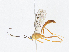 ( - CBG-A08735-C11)  @11 [ ] CreativeCommons - Attribution Share-Alike (2023) CBG Photography Group Centre for Biodiversity Genomics