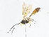  ( - CBG-A08735-D05)  @11 [ ] CreativeCommons - Attribution Share-Alike (2023) CBG Photography Group Centre for Biodiversity Genomics