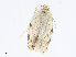  ( - CBG-A08735-D07)  @11 [ ] CreativeCommons - Attribution Share-Alike (2023) CBG Photography Group Centre for Biodiversity Genomics