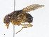  ( - CBG-A08735-E10)  @11 [ ] CreativeCommons - Attribution Share-Alike (2023) CBG Photography Group Centre for Biodiversity Genomics