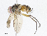  ( - CBG-A08736-B05)  @11 [ ] CreativeCommons - Attribution Share - Alike (2023) CBG Photography Group Centre for Biodiversity Genomics