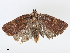  ( - CBG-A08736-E12)  @11 [ ] CreativeCommons - Attribution Share - Alike (2023) CBG Photography Group Centre for Biodiversity Genomics