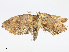  ( - CBG-A08737-F07)  @11 [ ] CreativeCommons - Attribution Share - Alike (2023) CBG Photography Group Centre for Biodiversity Genomics