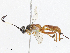  ( - CBG-A08738-A03)  @11 [ ] CreativeCommons - Attribution Share - Alike (2023) CBG Photography Group Centre for Biodiversity Genomics