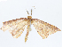  ( - CBG-A08738-A05)  @11 [ ] CreativeCommons - Attribution Share - Alike (2023) CBG Photography Group Centre for Biodiversity Genomics