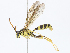  ( - CBG-A08739-B08)  @11 [ ] CreativeCommons - Attribution Share-Alike (2023) CBG Photography Group Centre for Biodiversity Genomics