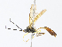  ( - CBG-A08739-B12)  @11 [ ] CreativeCommons - Attribution Share-Alike (2023) CBG Photography Group Centre for Biodiversity Genomics