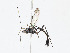  ( - CBG-A08739-C09)  @11 [ ] CreativeCommons - Attribution Share-Alike (2023) CBG Photography Group Centre for Biodiversity Genomics