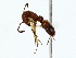  ( - BIOUG85461-B03)  @11 [ ] CreativeCommons - Attribution (2022) CBG Photography Group Centre for Biodiversity Genomics