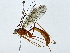  ( - BIOUG85485-G08)  @11 [ ] CreativeCommons - Attribution (2022) CBG Photography Group Centre for Biodiversity Genomics