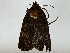  ( - BIOUG85485-H07)  @11 [ ] CreativeCommons - Attribution (2022) CBG Photography Group Centre for Biodiversity Genomics