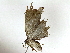  ( - BIOUG89946-H02)  @11 [ ] CreativeCommons - Attribution (2022) CBG Photography Group Centre for Biodiversity Genomics