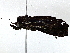  ( - BIOUG89946-H09)  @11 [ ] CreativeCommons - Attribution (2022) CBG Photography Group Centre for Biodiversity Genomics