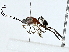  ( - BIOUG89948-B05)  @11 [ ] CreativeCommons - Attribution (2022) CBG Photography Group Centre for Biodiversity Genomics