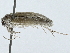  ( - BIOUG89948-G10)  @11 [ ] CreativeCommons - Attribution (2022) CBG Photography Group Centre for Biodiversity Genomics