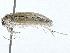  ( - BIOUG89948-G10)  @11 [ ] CreativeCommons - Attribution (2022) CBG Photography Group Centre for Biodiversity Genomics
