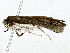  ( - BIOUG89949-H05)  @11 [ ] CreativeCommons - Attribution (2022) CBG Photography Group Centre for Biodiversity Genomics