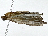  ( - BIOUG89949-H09)  @11 [ ] CreativeCommons - Attribution (2022) CBG Photography Group Centre for Biodiversity Genomics