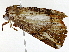  ( - BIOUG89950-H03)  @11 [ ] CreativeCommons - Attribution (2022) CBG Photography Group Centre for Biodiversity Genomics