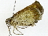  ( - BIOUG89951-A02)  @11 [ ] CreativeCommons - Attribution (2022) CBG Photography Group Centre for Biodiversity Genomics
