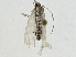  ( - BIOUG89951-D01)  @11 [ ] CreativeCommons - Attribution (2022) CBG Photography Group Centre for Biodiversity Genomics
