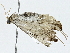 ( - BIOUG89951-D06)  @11 [ ] CreativeCommons - Attribution (2022) CBG Photography Group Centre for Biodiversity Genomics