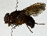  ( - BIOUG89951-H03)  @11 [ ] CreativeCommons - Attribution (2022) CBG Photography Group Centre for Biodiversity Genomics