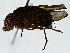  ( - BIOUG89951-H07)  @11 [ ] CreativeCommons - Attribution (2022) CBG Photography Group Centre for Biodiversity Genomics