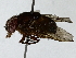  ( - BIOUG89951-H10)  @11 [ ] CreativeCommons - Attribution (2022) CBG Photography Group Centre for Biodiversity Genomics