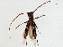  ( - BIOUG89952-C01)  @11 [ ] CreativeCommons - Attribution (2022) CBG Photography Group Centre for Biodiversity Genomics