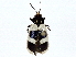  ( - BIOUG89952-C07)  @11 [ ] CreativeCommons - Attribution (2022) CBG Photography Group Centre for Biodiversity Genomics
