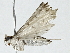  ( - BIOUG89952-H07)  @11 [ ] CreativeCommons - Attribution (2022) CBG Photography Group Centre for Biodiversity Genomics