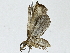  ( - BIOUG89952-H09)  @11 [ ] CreativeCommons - Attribution (2022) CBG Photography Group Centre for Biodiversity Genomics