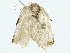  ( - BIOUG89953-A08)  @11 [ ] CreativeCommons - Attribution (2022) CBG Photography Group Centre for Biodiversity Genomics