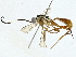 ( - BIOUG89953-D08)  @11 [ ] CreativeCommons - Attribution (2022) CBG Photography Group Centre for Biodiversity Genomics