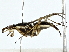  ( - BIOUG89953-H07)  @11 [ ] CreativeCommons - Attribution (2022) CBG Photography Group Centre for Biodiversity Genomics