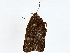  ( - BIOUG89954-B04)  @11 [ ] CreativeCommons - Attribution (2022) CBG Photography Group Centre for Biodiversity Genomics
