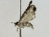  ( - BIOUG89999-F01)  @11 [ ] CreativeCommons - Attribution (2022) CBG Photography Group Centre for Biodiversity Genomics