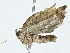 ( - BIOUG91361-D06)  @11 [ ] CreativeCommons - Attribution (2022) CBG Photography Group Centre for Biodiversity Genomics