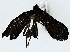  ( - BIOUG91361-E07)  @11 [ ] CreativeCommons - Attribution (2022) CBG Photography Group Centre for Biodiversity Genomics