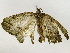  ( - BIOUG91361-F01)  @11 [ ] CreativeCommons - Attribution (2022) CBG Photography Group Centre for Biodiversity Genomics